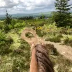 View from back of a horse in County Antrim