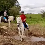 White horse riding over small stream in County Antrim