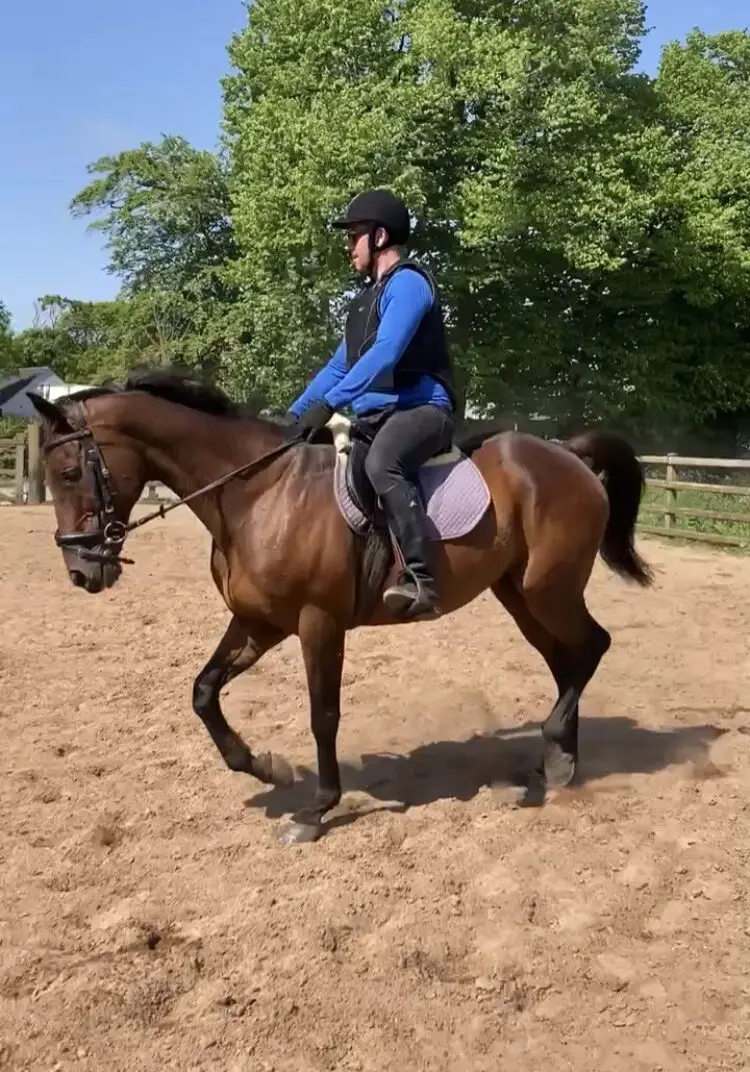Man with blue jumper riding horse in County Antrim