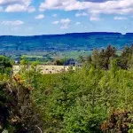 View of hills and forest in County Antrim