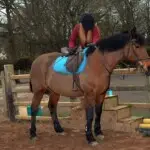 Girl using steps to get on horse in County Antrim