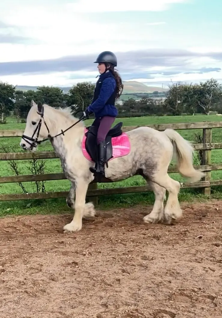Girl on white horse with pink saddle in County Antrim