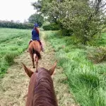View from back of a horse looking at other rider in County Antrim