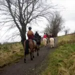 Group of horse riders walking up hill on a trail in County Antrim