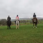 horses and riders in field in County Antrim