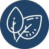 icon_orga