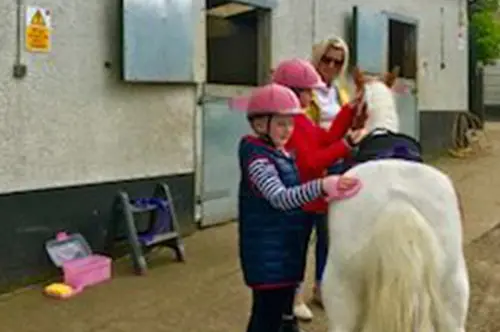 Kids brushing a white horse in County Antrim