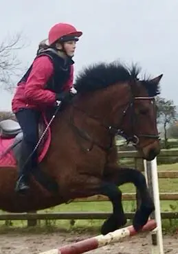 Girl on horse jumping over obstacles in County Antrim