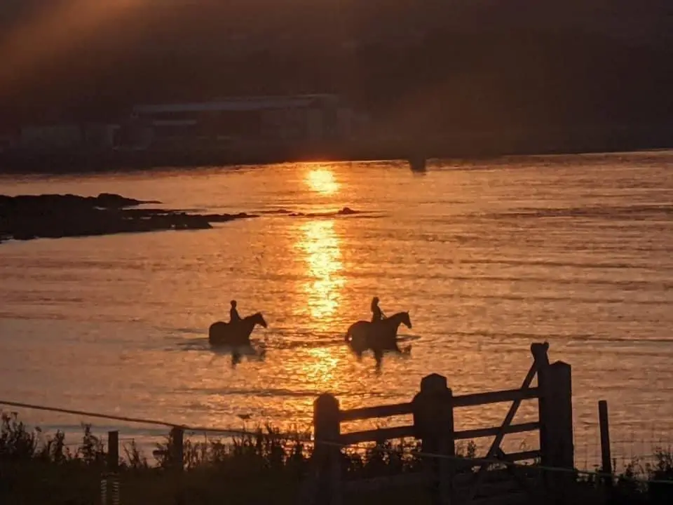 2 horses walking through water at sunset in County Antrim